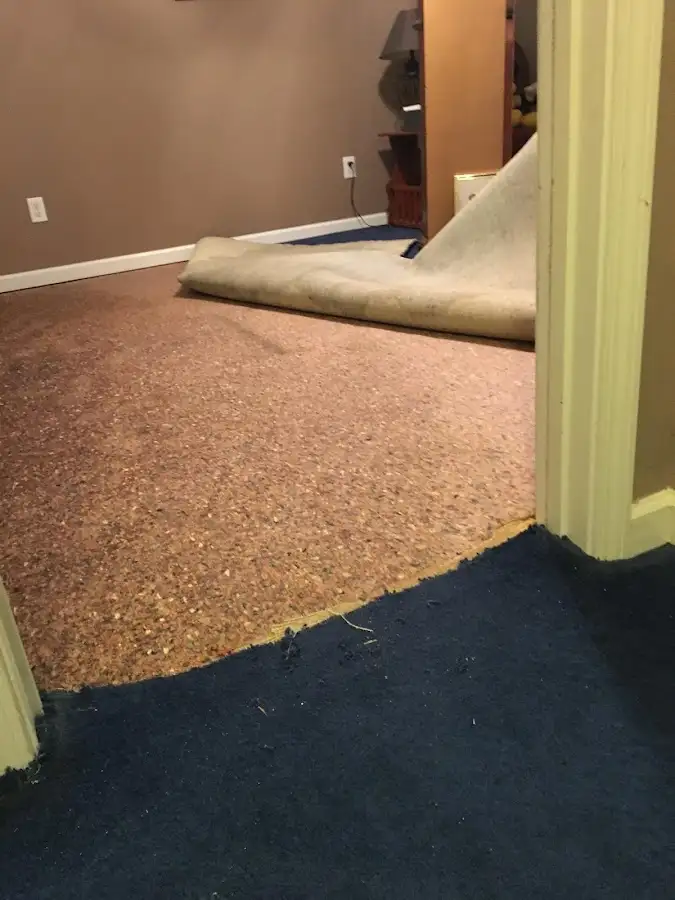 Carpet pad removal revealing water damage during Drying & Dehumidification in Alexandria