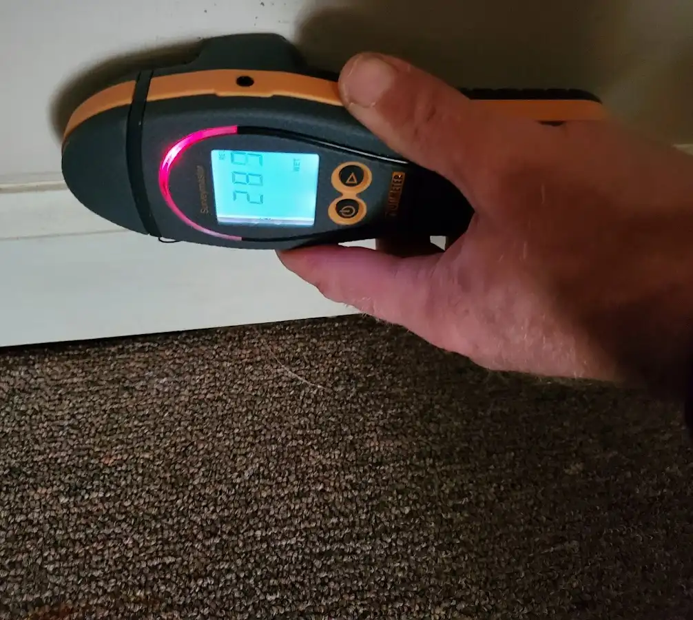 Moisture detection at baseboard during Sewage Cleanup & Sanitation in Alexandria
